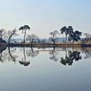 상리저수지 이미지