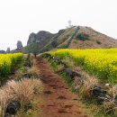 유채하우스 이미지