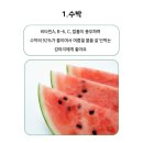 강아지 정보(과일/터그놀이) 18 이미지