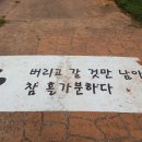 달아마루브릴랑 이미지