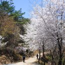 오륜대로 이미지