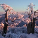 양지-3328 이미지