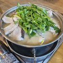 청어식당 | 내돈내산 속초생대구 식당 후기 포장 주차 청어알 맛집