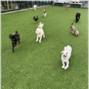 아이조아요양보호소 전남광주점 이미지