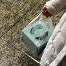 🎂디어데이 샤인머스켓케이크 만들기 원데이클래스 후기