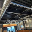 날아라홍돼지 이미지