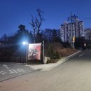 국시랑 수제비랑 | 이천 국수 맛집 멸치국시와돈까스 방문 후기 임산부 추천