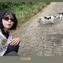 봉성상회 네이버블로그