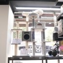 야옹아멍멍해봐 이미지