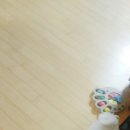 옵티마사과약국 이미지