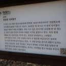 초산제 이미지