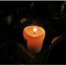 꿈꾸는유배지늡다리 이미지