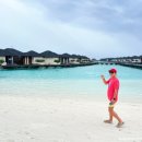 파라다이스 이미지