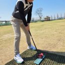 가산공원 그라운드골프장 | 그라운드골프채 추천 데이비드골프 가방까지 고급스럽