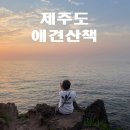 애월한담해안산책로 | 제주 애월 한담해안산책로 애견동반 산책 후기, 제주 반려견 여행 코스 추천 주차장 정보
