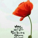 베로 Daum카페