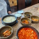 대영식당 | [창원 맛집 ] 100% 국산콩 매일 만드는 순두부! 🍚 30년 이상 장인의 '대영식당' 내돈내산 후기