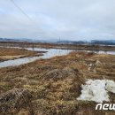 율곡천 1 이미지