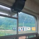 진남한식고기부페 이미지