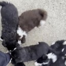 일명농장 이미지