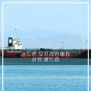 골드론