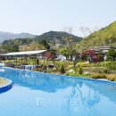 미로초교 이미지