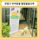 은평구 찾아가는 반려동물 통합 돌봄 교육, 강아지 응급처치 교육 후기