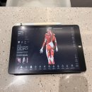 피비제이GYM | [대전 괴정동] 피비제이짐 : 롯데백화점 근처 용문역 프리미엄 PT샵