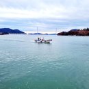 돌산초등학교 이미지