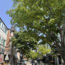 카페포멜로 | 유럽 느낌의 용인 브런치 카페 “포멜로” 방문 후기