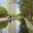 신우타워(코오롱아파트방면) | 4월 17일 일기 (서울숲, 서울숲 모퉁이 정원, 난포, 진로골드 판타지아 팝업 스토어, 섬타르, 성수...