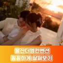 울산 더엠컨벤션 리뉴얼 후기! 웨딩홀 3곳 비교 (피에스타 vs 펠리시타)