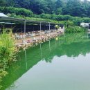 주성낚시터 이미지