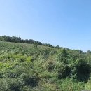 장용수 농장 이미지