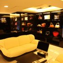 더샤인글로벌 이미지