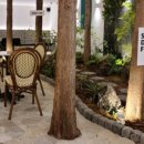 아틀리에빈 이미지