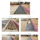 전주북일초등학교 이미지