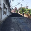 금화장 이미지