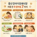 울산전문장례식장 | 울산강아지장례식장 이용 및 소개 꼭 알아둘 7가지