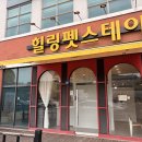 스테이애견샵
