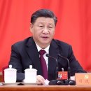 보나테크 이미지