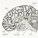 기공태극권 이미지