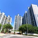 시그니스 | 관악구 신림동 방충망 교체 삼성산주공아파트 미세 발수 방충망 교체 시공 후기