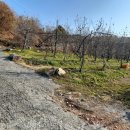 대촌새마을회관 이미지