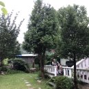 풀빛둥지펜션 이미지