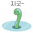 희희횸횸 - 속초시 동해대로 4271 | 희희횸횸