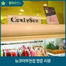 컬리수뉴코아