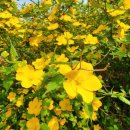 사랑비디오 이미지