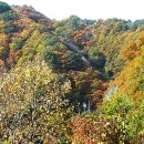 시동산 네이버블로그