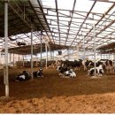 평창축산 이미지